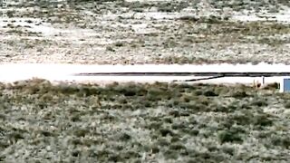 Projectile speed