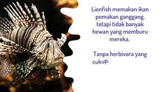 Lionfish memakan ikan pemakan ganggang,