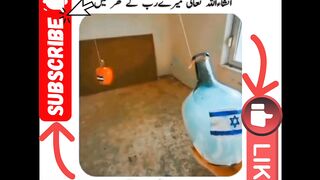 Phalasteen zindabad