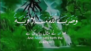 Surah al nahal