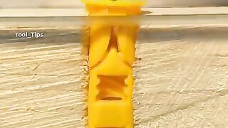 Best Shots in the World