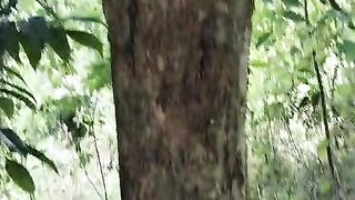 Kayu yang di sensor oleh seseorang