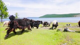 YAKYA