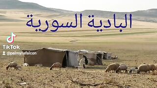 البادية السورية