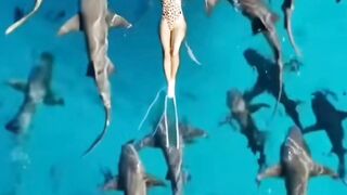 Belle vidéo