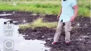 كوميديا الحظ السيئ