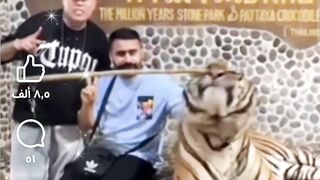 كوميديا الرعب