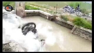 funny video