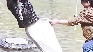 Funny video