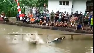 funny video