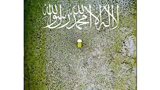 _Ali _Ali _Ali _Ali _Ali _Ali _Ali _Ali _Ali ❤❤❤❤????????????????
