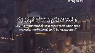 سـورۃ الـزمـر  ۔۔  64 تا 65  ????* ے