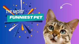 Funniest animal 2023
