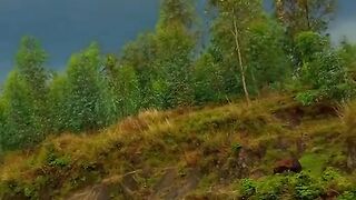 خوبصورت ہزارہ