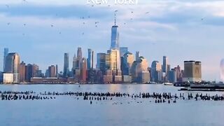 New York most beautiful place