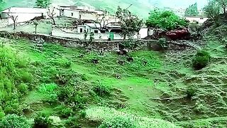 خوبصورت ہزارہ