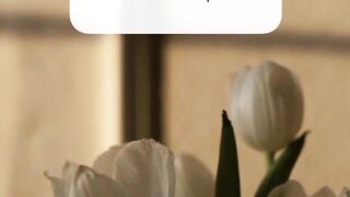 Urdu quotes