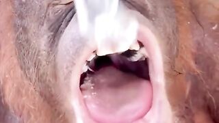 is , give me ice cubes