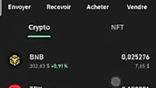 Cripto monnaie