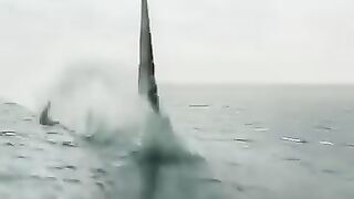 Underwater predator