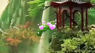 status,status video,status song,status whatsap,beast song,good song,video,songs