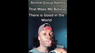 The Most Wholesome Video You’ll See Today