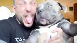 The man who raised a pitbull suffered from depression