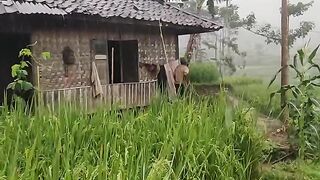 Pemandangan indah di pdesaan