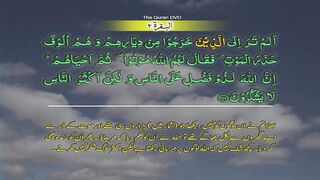 Surah-2 Al baqarah Ayat No 243-248 Ruku No 32 Word by word learning Quran in video in 4K