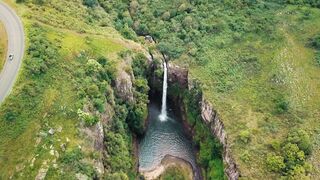 "Nature's Bliss: Exploring Joy and Wellness in the Forest"