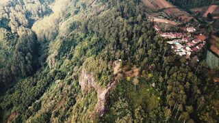 "Forest Joy: Embracing Nature for Health and Happiness"