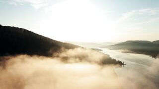 "Forest Joy: Discovering Health and Happiness in Nature"