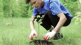 "Forest Harmony: Nature's Path to Joy and Well-being"