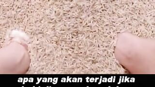 Kalo gakuat jangan ditonton !