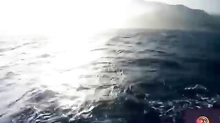 Surviving in nature