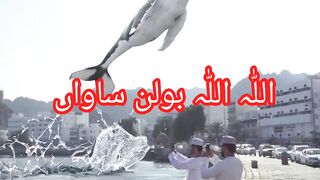 Suban Allah  virl video