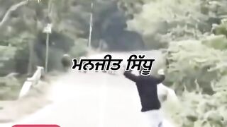 Funny video