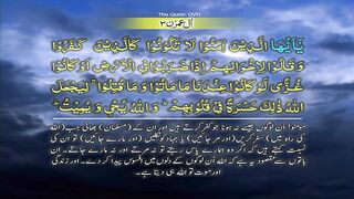 Surah-3 Al Imran Ayat No 156-171 Ruku No 17 Word by word learning Quran in video in 4K