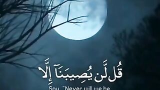قُل (لن) (يُصيبنا) (إلا) (ما) (كَتب) (الله) (لنا)