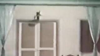Pakistani felum sultan Rahi