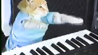 Charlie Schmidt's Keyboard Cat! - THE ORIGINAL!