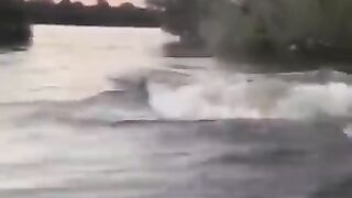 God Sent Hippos to Punish Humanity (and other stuff for 8 mi
