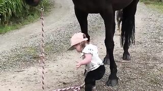 Adorable little baby leading horse