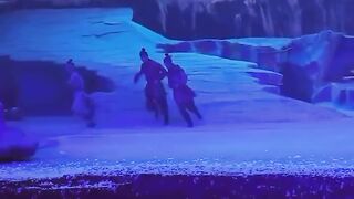 A play in china called Tuoling legend, includes 30 trained wolves moving from stage to the audience
