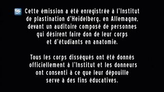 Anatomie générale