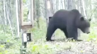 Video 8