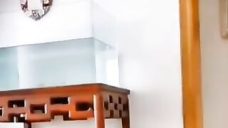 Funny Animals Video Best Dogs???? and Cats????_ Fanny Animals