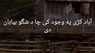 Pashto Shayari || Abad Kre Pa Ojod Ke Cha D Shego Byaban Day #shorts