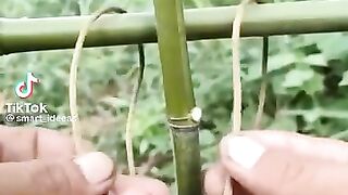 Excellent video about survival