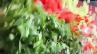 Creative Recipes for Learn How to Make Amazing Taste..